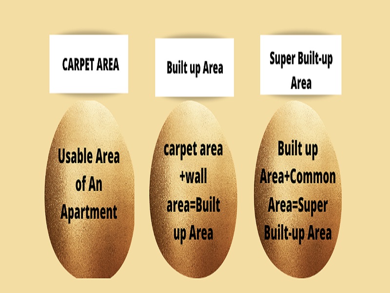 Built-Up Area, Super Built-Up Area & Carpet Area Explained