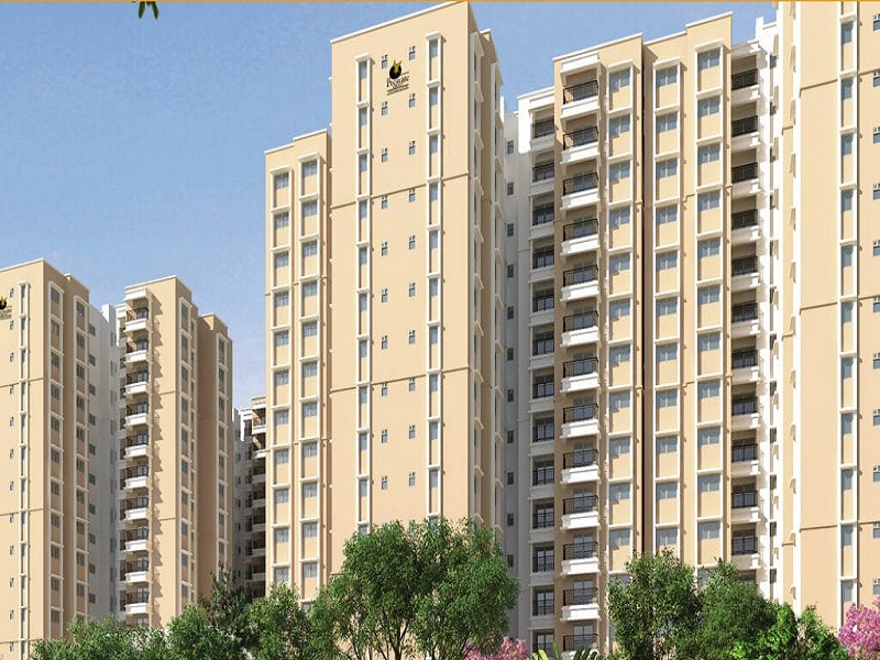 Multiple Options in Prestige Group Sarjapur Road